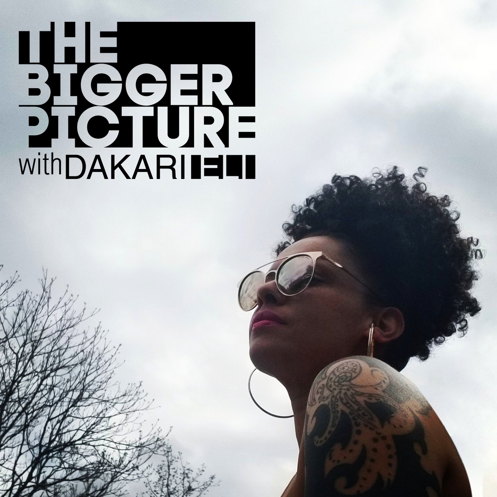 Bigger Picture with Dakari Cover Art