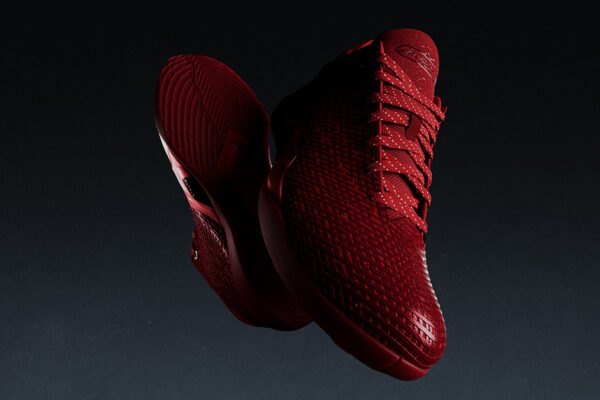 Air Jordan 41