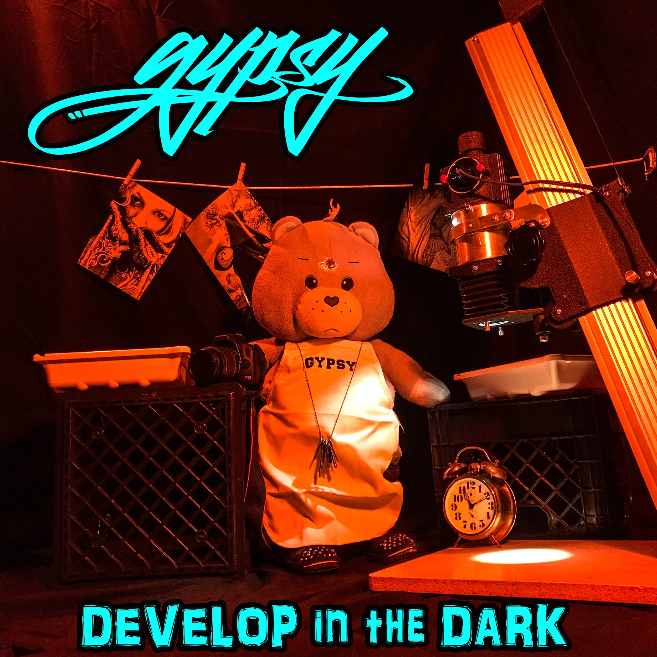 gypsy develop in the dark cover art