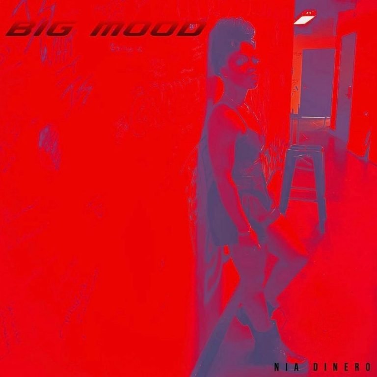 nia-dinero-big-mood-artwork